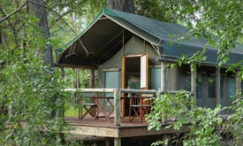 Camp Moremi